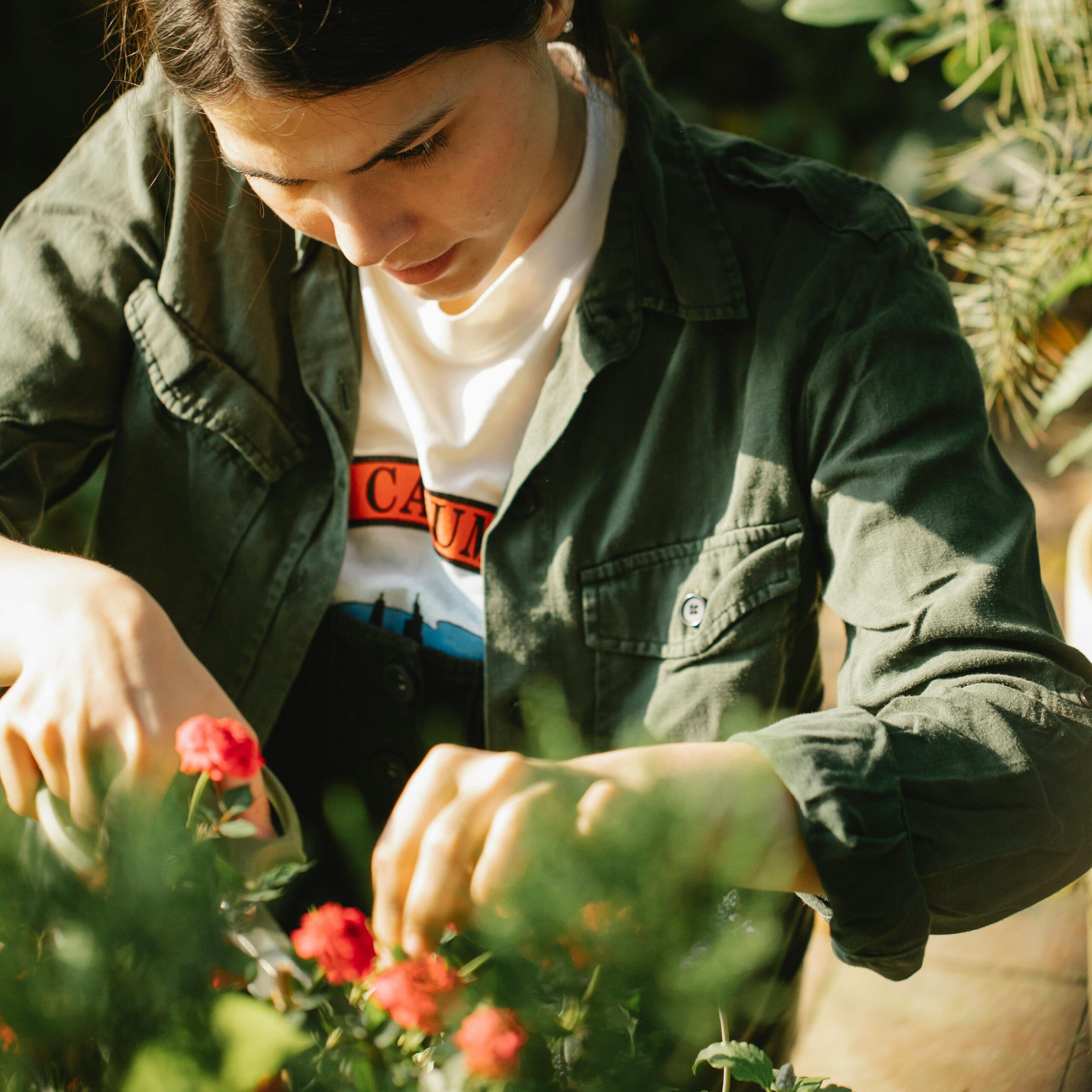 moestuin